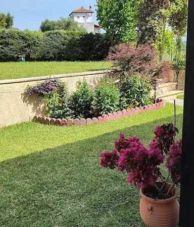 Dreamhouse Georgia *